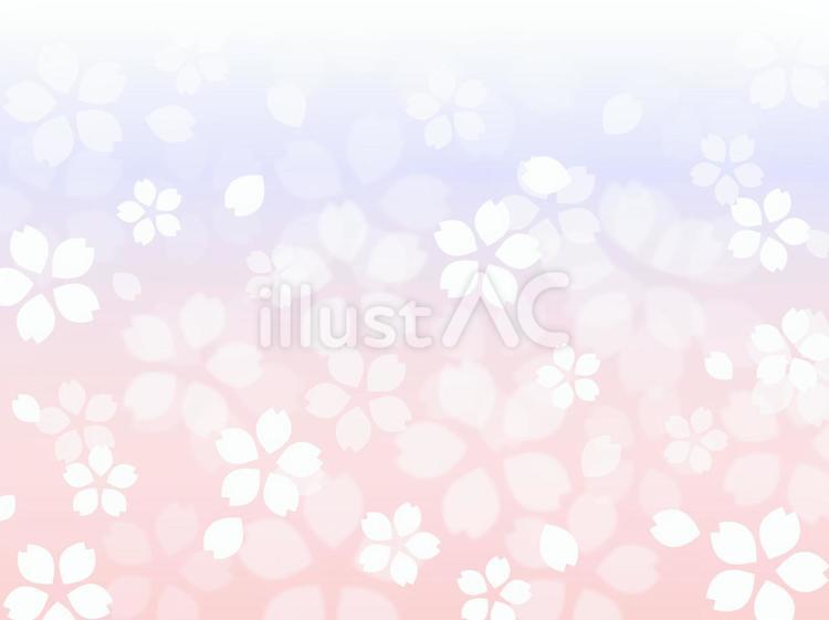 桜 桜,自然,花のイラスト素材