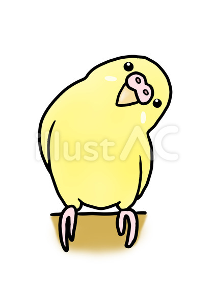 セキセイインコ ルチノー