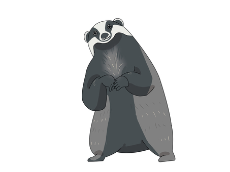 ヨーロッパアナグマ（正面） ヨーロッパアナグマ,アナグマ,動物,ヨーロッパ,正面のイラスト素材