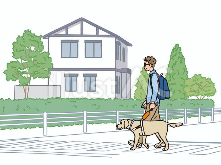 盲導犬を連れいている男性 盲導犬,視覚障害者,犬のイラスト素材