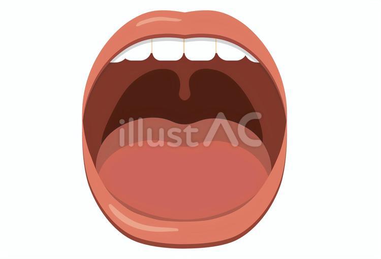 口の中の清潔なイラスト 口,清潔,歯医者のイラスト素材