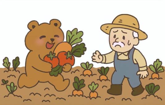 畑からクマに野菜を持ち逃げされる 熊,動物,害獣,被害,野菜,作物,食べ物,にんじん,畑,農家のイラスト素材