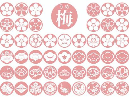 Japanese Pattern_Plum Crest_Pink_2_Round, japanese style, plum, and handle, JPG, PNG and AI