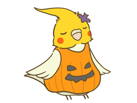 かぼちゃの服を着たオカメ ハロウィン,ハロウィーン,オカメインコ,カボチャ,コスプレ,コウモリ,ジャックオランタン,インコ,鳥,ペットのイラスト素材