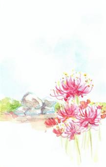 彼岸花 花,墨彩画,絵手紙,顔彩,石舞台のイラスト素材