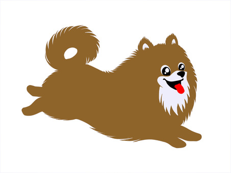 Pomeranian running around, run, fine, run through, JPG and PNG