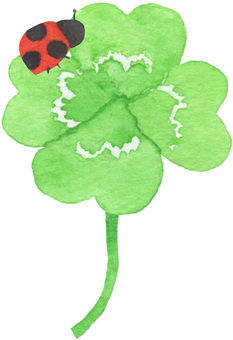 ladybug and four leaf clover, JPG and PNG ladybug and four leaf clover, clover, four leaves, white clover, JPG and PNG