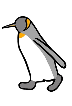 歩くキングペンギン 前向き 歩くキングペンギン 前向き キングペンギン,オウサマペンギン,ペンギン,鳥,黒,白,グレー,羽,フリッパー,足のイラスト素材