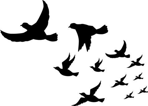 野鳥飛ぶ　 野鳥,飛ぶ,群れ,移動,渡り鳥,空,見上げる,シルエットのイラスト素材