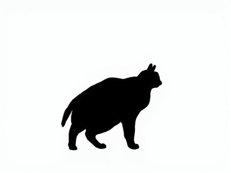 猫。。 猫,シルエット,動物,背景透過,黒猫,イラスト,素材,透過png,アイコン,ペットのイラスト素材