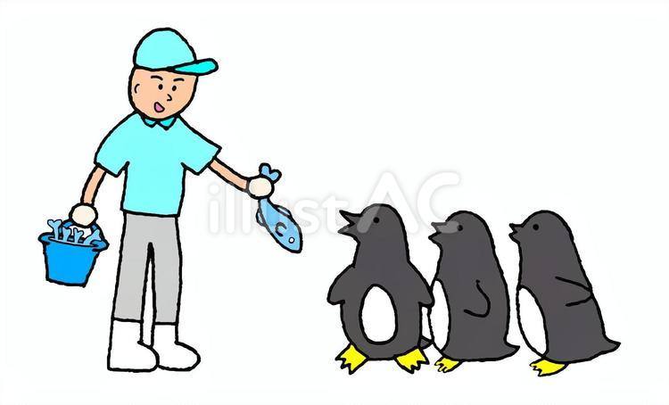 ペンギン　飼育員　水族館 ペンギン,鳥,鳥類のイラスト素材