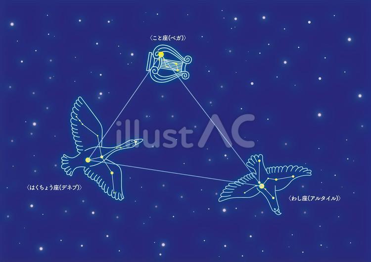 夏の大三角のイラスト 星座,天体,白鳥座のイラスト素材