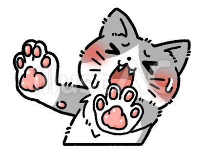 拒否する猫