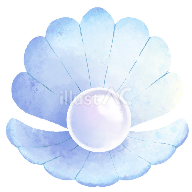 真珠 真珠,貝,海のイラスト素材