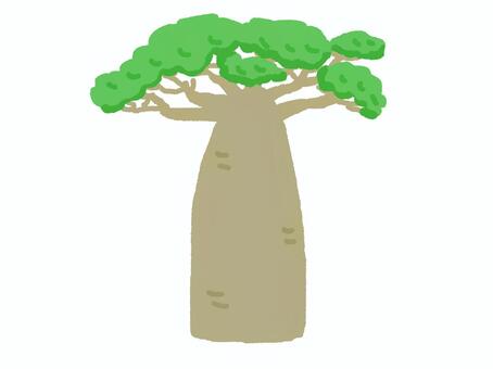 葉が生い茂ったバオバブの木　 バオバブ,樹木,葉,1本,茶色,緑のイラスト素材