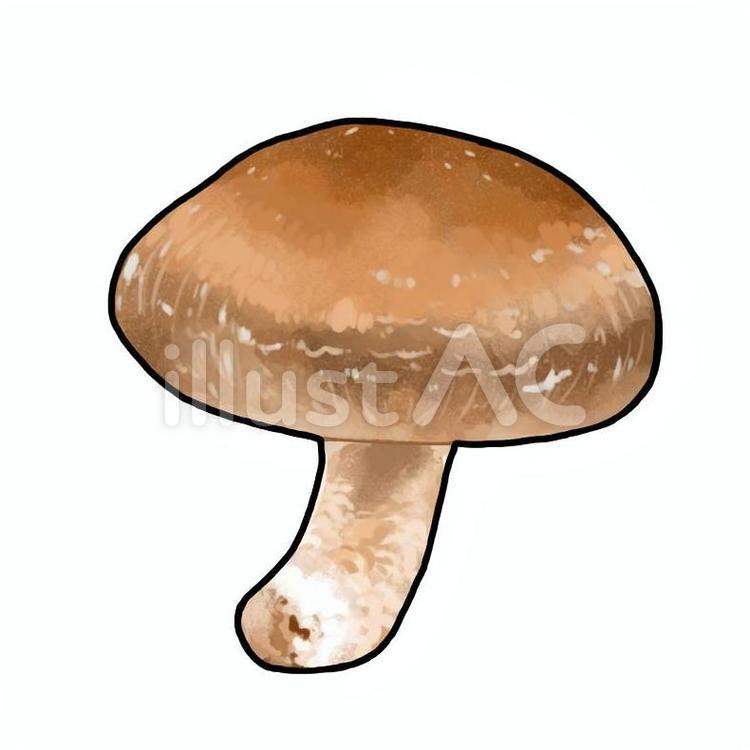 しいたけ（ふちどり） しいたけ,きのこ,農作物のイラスト素材