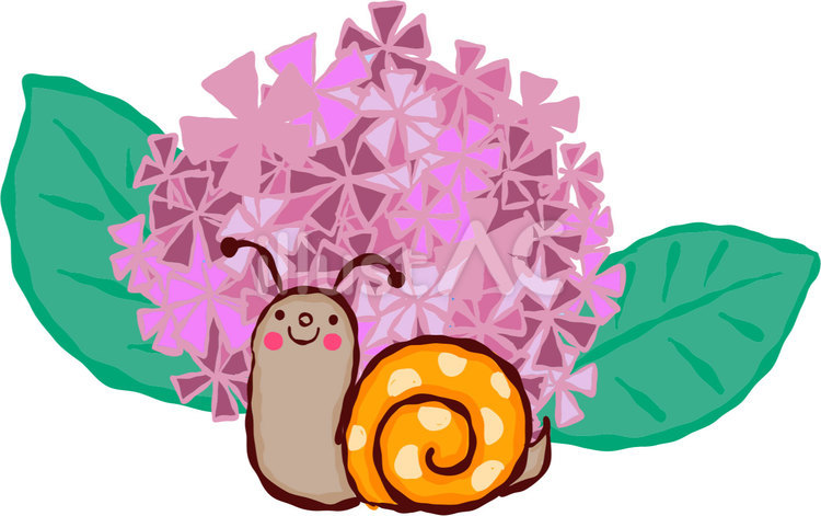 ピンクのアジサイとカタツムリ アジサイ,紫陽花,カタツムリのイラスト素材
