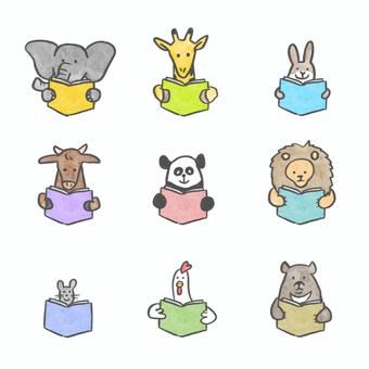 Animal set for reading Full color, पढ़ना, पशु, यह, JPG and PNG