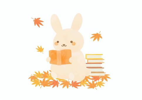 読書を楽しむかわいいウサギのイラスト 秋,動物,読書,ウサギ,かわいい,本,紅葉,植物,ほのぼの,ほんわかのイラスト素材