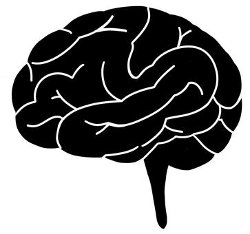 脳みそ・シルエット・黒・影 脳,脳みそ,シルエット,黒,影,手描き,大脳,大脳新皮質,小脳,臓器のイラスト素材