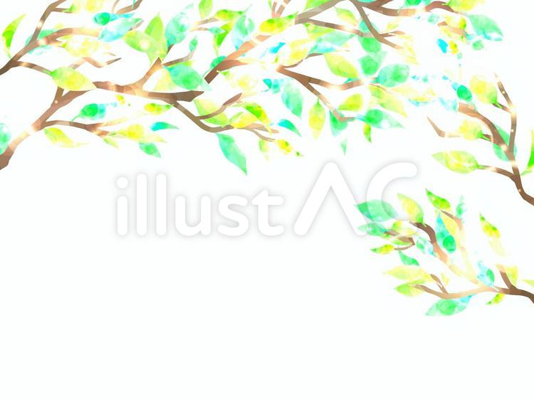 水彩風の新緑の背景 植物,春,初夏のイラスト素材