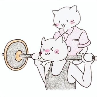 スポーツジムねこインストラクター インストラクター,コーチ,ジム,スポーツジム,筋トレ,トレーナー,トレーニング,筋肉,ダンベル,サポートのイラスト素材