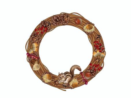 Wreath of nuts and squirrels, JPG and PNG Wreath of nuts and squirrels, tree fruit, lease, a squirrel, JPG and PNG