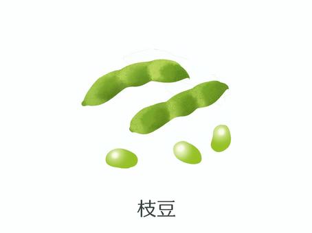 枝豆（野菜名入り） 枝豆,夏野菜,6月,7月,8月,9月,野菜,豆,緑,うぶ毛のイラスト素材