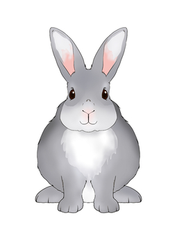 灰色のうさぎ ウサギ,灰色,グレー,動物,生き物,哺乳類,小動物,齧歯類,かわいい,ペットのイラスト素材