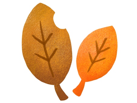 オレンジと茶色の落ち葉 落ち葉,枯葉,秋,紅葉,葉っぱ,自然,植物,木の葉,樹木,枝葉のイラスト素材