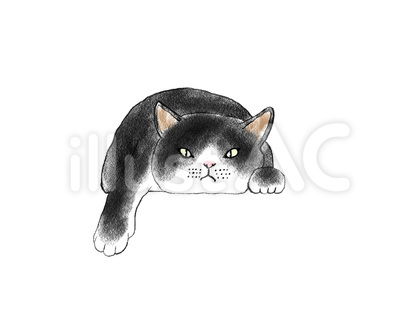 ねこ 寝そべる 03 ハチワレ