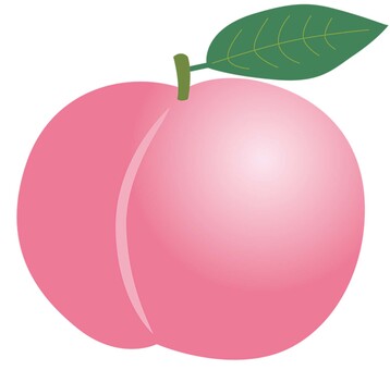 果物_もも もも,果物,農園,畑,農家,農業のイラスト素材