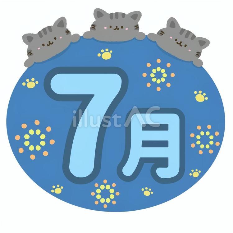 かわいい3匹の猫•花火イメージの7月 猫,7月,アメショのイラスト素材