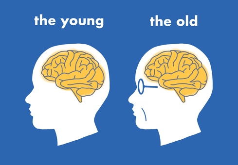 若者と年寄りの脳 脳,人,頭,神経,シナプス,脳内思考,閃き,繋がる,自然,健康のイラスト素材