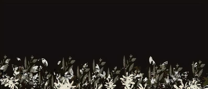 黒背景に描かれた白い植物のイラスト 植物,葉,花,黒背景,白黒,モノクロ,自然,イラスト,背景,素材のイラスト素材