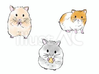 ハムスター01：イラスト無料