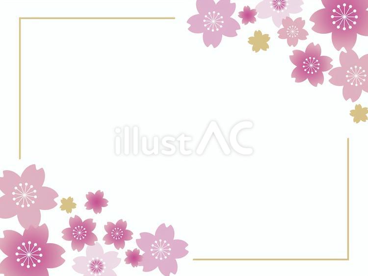 春爛漫の桜のフレーム6 花,桜,和風のイラスト素材