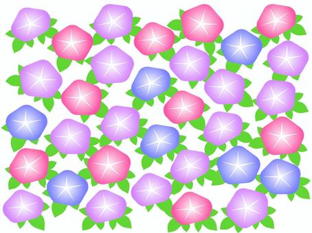 アサガオの花背景 アサガオの花背景 アサガオ,花,植物,風物詩,夏,背景,葉,ランダム,紫,かわいいのイラスト素材