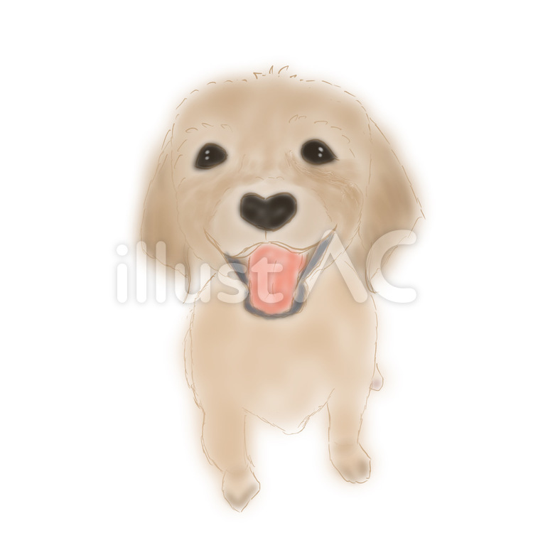 ふんわり仔犬 犬,いぬ,ふんわりのイラスト素材