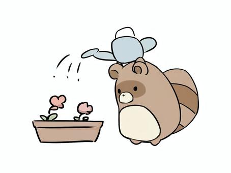 Deformed illustration of a raccoon watering, animal, raccoon, deformed, JPG and PNG