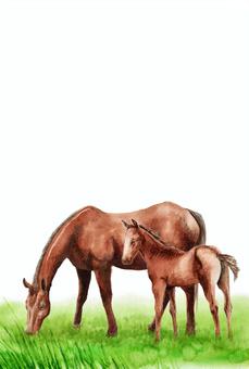 年賀ハガキ水彩馬の親子 馬,午年,動物,親子,年賀状,年賀ハガキ,干支,十二支,水彩,手描きのイラスト素材