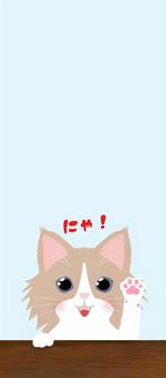 一筆箋　はちわれ長毛猫2 はちわれ猫,猫,長毛,動物,愛猫,肉球,手紙,一筆箋,カードのイラスト素材