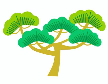松の木 松,木,植物,樹木,シンプル,かわいい,綺麗,針葉樹,緑色,明るいのイラスト素材