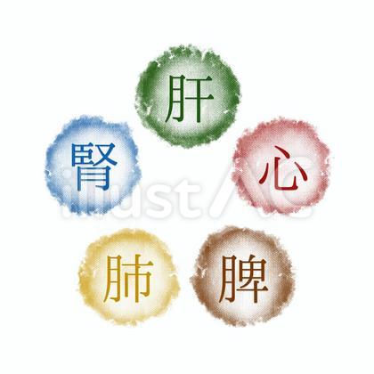 五臓相関図 水彩