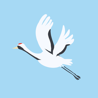 一羽で青空を飛ぶ鶴（丹頂鶴） 鶴,ツル,縁起物,タンチョウヅル,丹頂鶴,鳥,羽,動物,飛行,飛来のイラスト素材