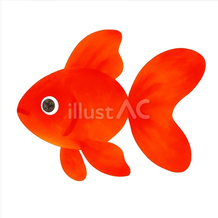 金魚の手描き風イラスト 金魚,夏祭り,手描き風のイラスト素材