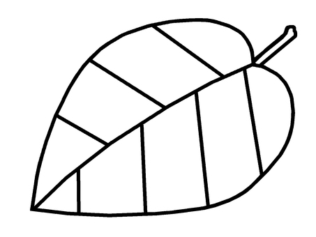 葉 葉,植物,器官,維管束,光合成,イラストのイラスト素材