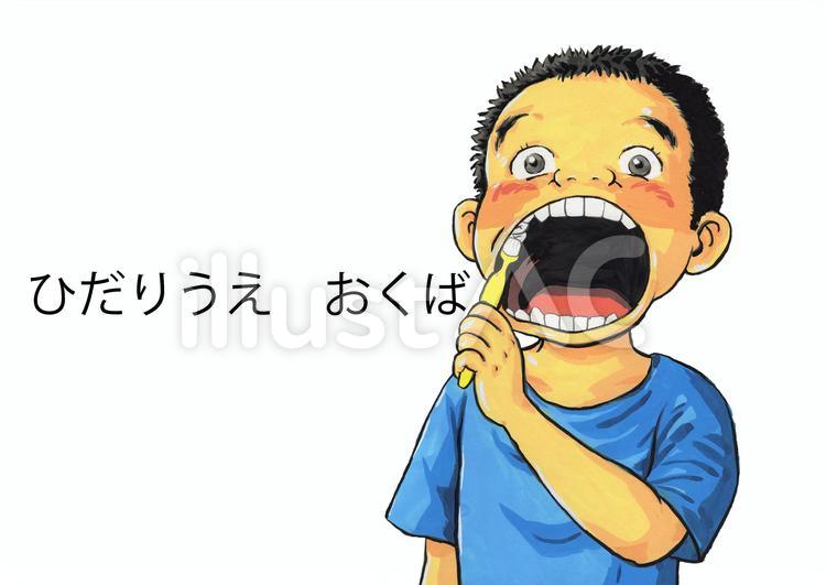 はみがき　6ひだりうえおくば　手順書 はみがき,保育園,幼稚園のイラスト素材