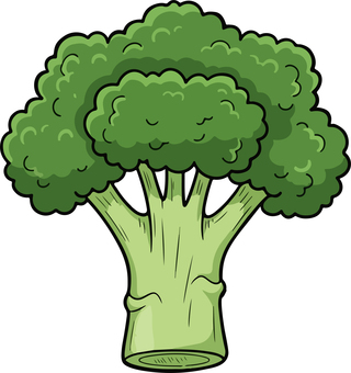 ブロッコリー ブロッコリー,野菜,サラダ,植物,緑,ベジタブルのイラスト素材