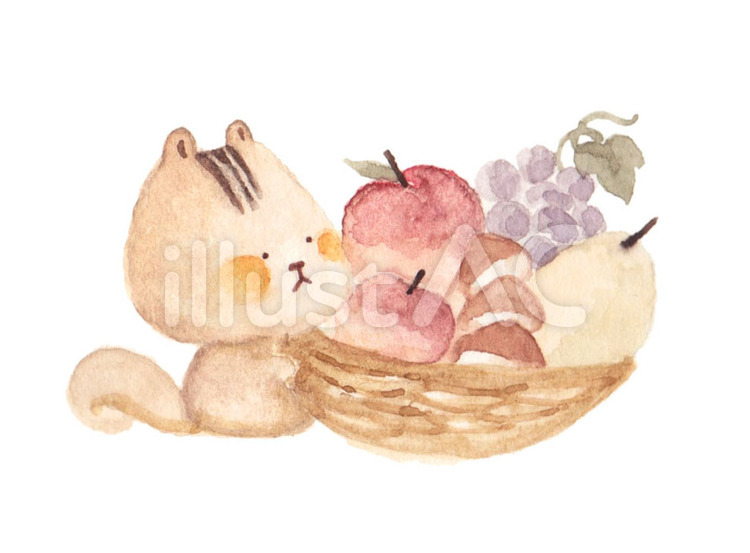シマリスと秋の実り シマリス,りす,動物のイラスト素材